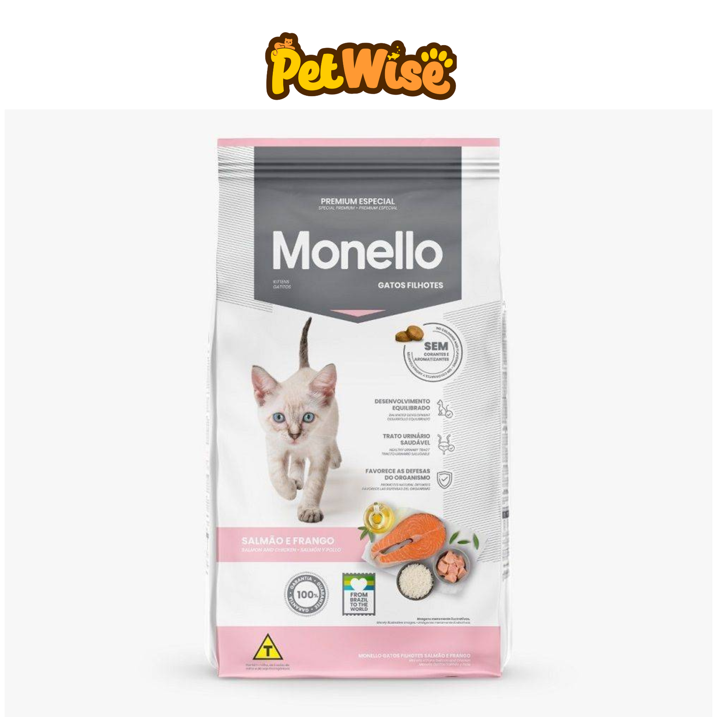 Monello Kitten
