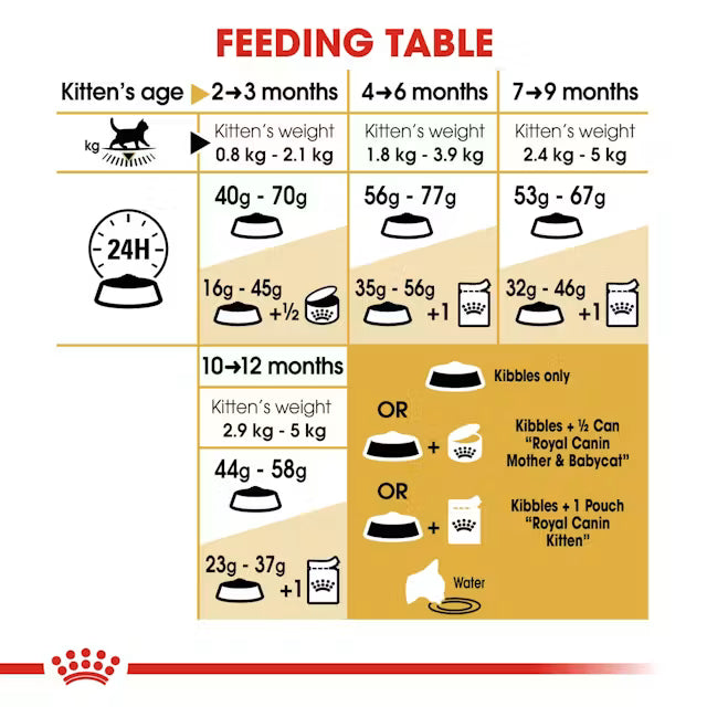Royal Canin British Shorthair Kitten
