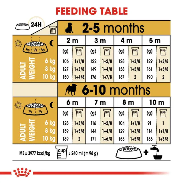 Royal Canin Pug Puppy Dry food for dogs