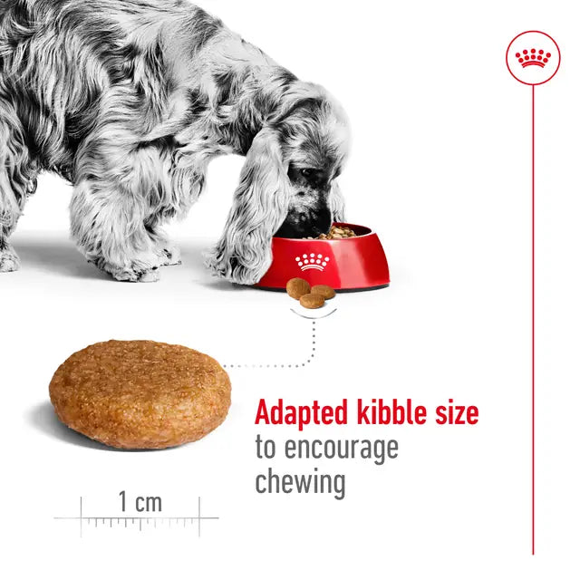 Royal Canin Medium Adult Dry Food For Dog