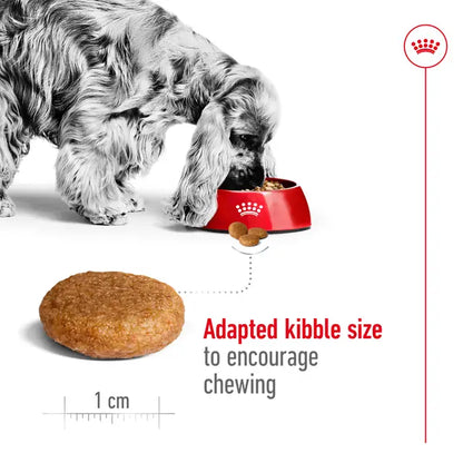 Royal Canin Medium Adult Dry Food For Dog