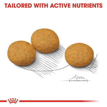 Royal Canin Dermacomfort Medium Dry Food For Dog
