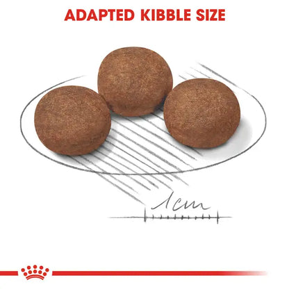 Royal Canin Medium Puppy Dry Food For Dog