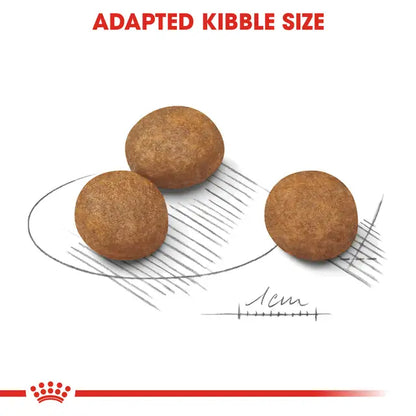Royal Canin Maxi Puppy Dry Food For Dog