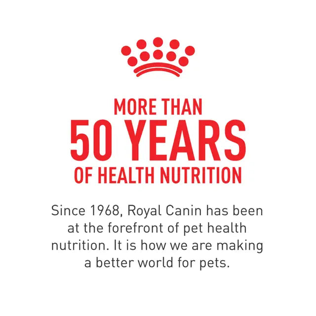 Royal Canin Siamese Adult Dry Cat Food