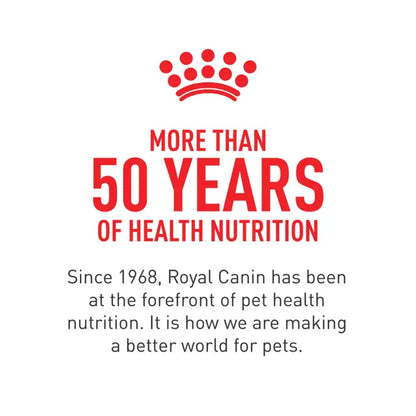 Royal Canin Siamese Adult Dry Cat Food