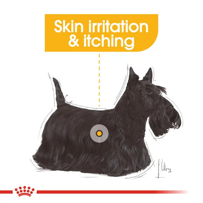 Royal Canin Dermacomfort Pouch Wet Food for Dogs