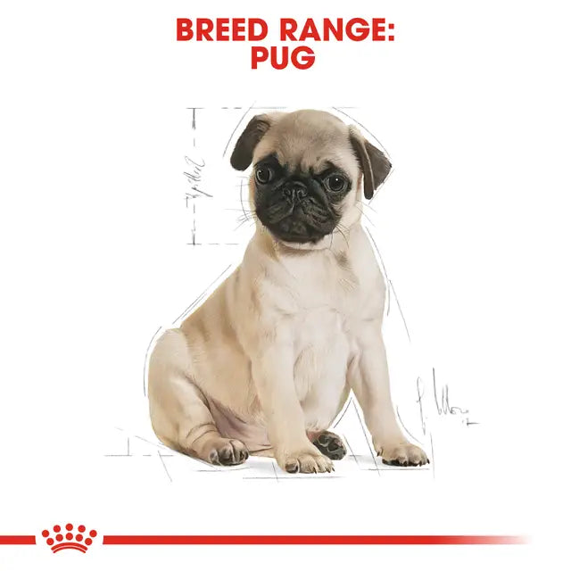 Royal Canin Pug Puppy Dry food for dogs