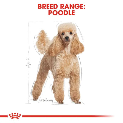 Royal Canin Poodle Adult Dry food for dogs