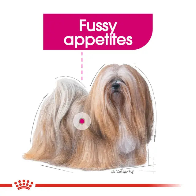 Royal Canin Mini Exigent Dry Food For Dog