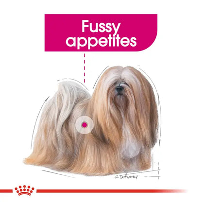 Royal Canin Mini Exigent Dry Food For Dog
