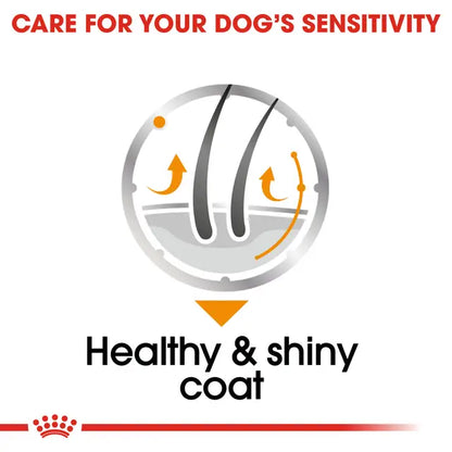 Royal Canin Coat Care Loaf Wet Food For Dog