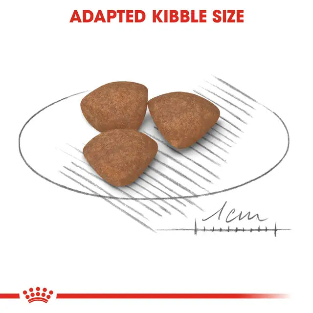 Royal Canin Mini Puppy Junior Dry Food for Dogs