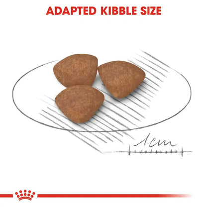 Royal Canin Mini Puppy Junior Dry Food for Dogs