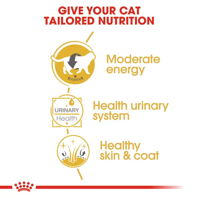 Royal Canin British Shorthair Cat Food Pouch