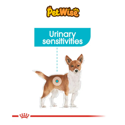 Royal Canin Mini Urinary Care for Dog