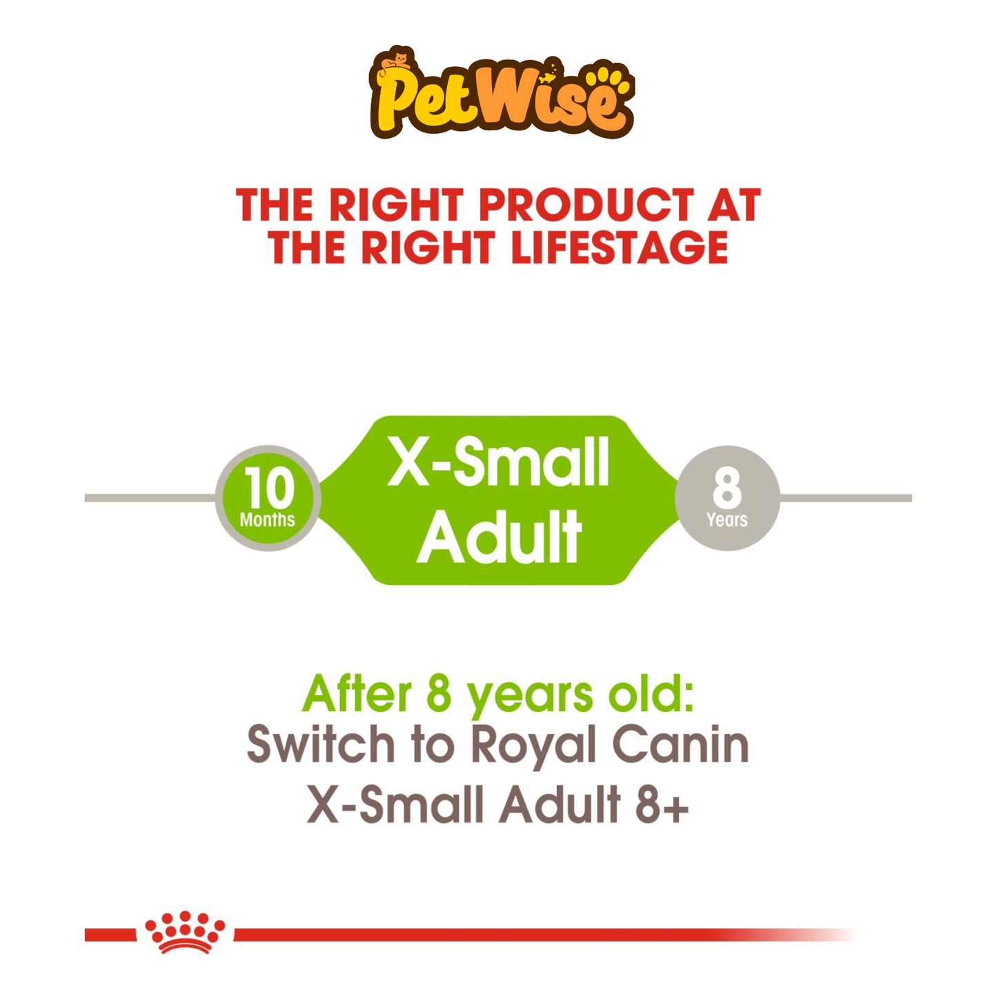 Royal Canin XSmall Adult