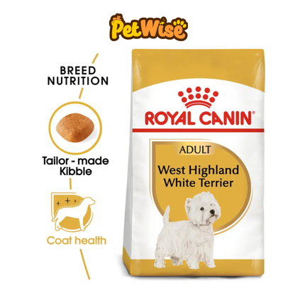 West Highland White Terrier Adult