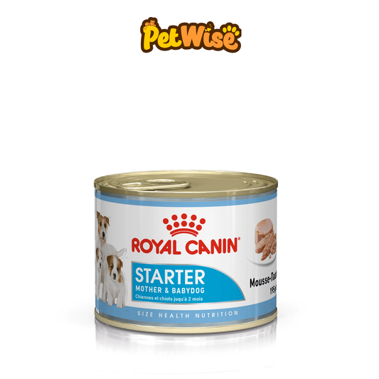 Royal Canin Starter Mousse Mother & Babydog