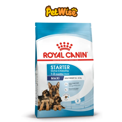 Royal Canin Maxi Starter Mother and Baby Dog Dry food for Dog