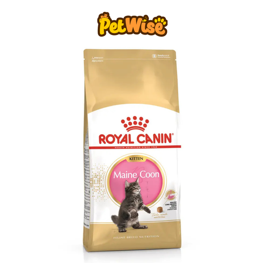 Royal Canin Maine Coon Kitten Dry Cat Food