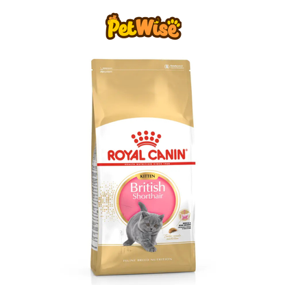 Royal Canin British Shorthair Kitten