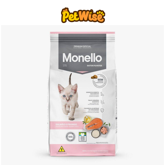 Monello Kitten
