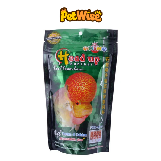 Okiko Head Up Huncher for Flowerhorn