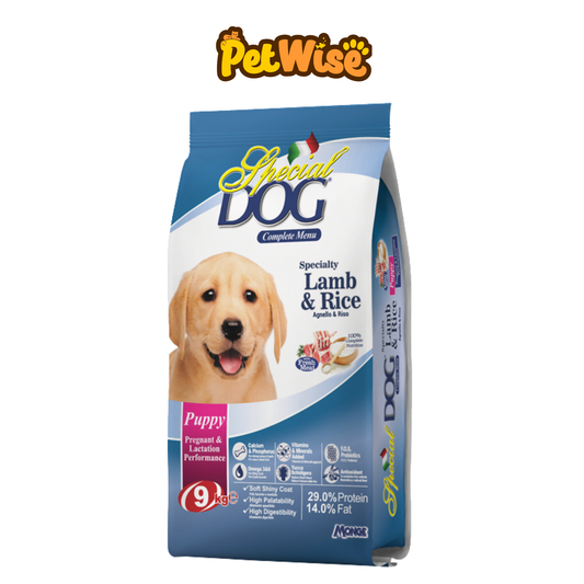 Special Dog Puppy