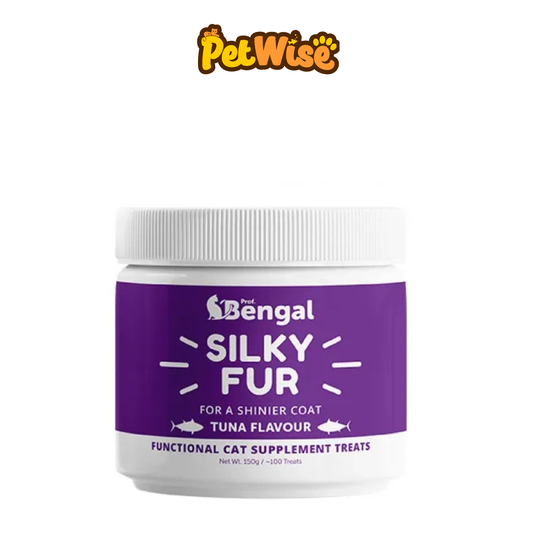 Prof Bengal Silky Fur