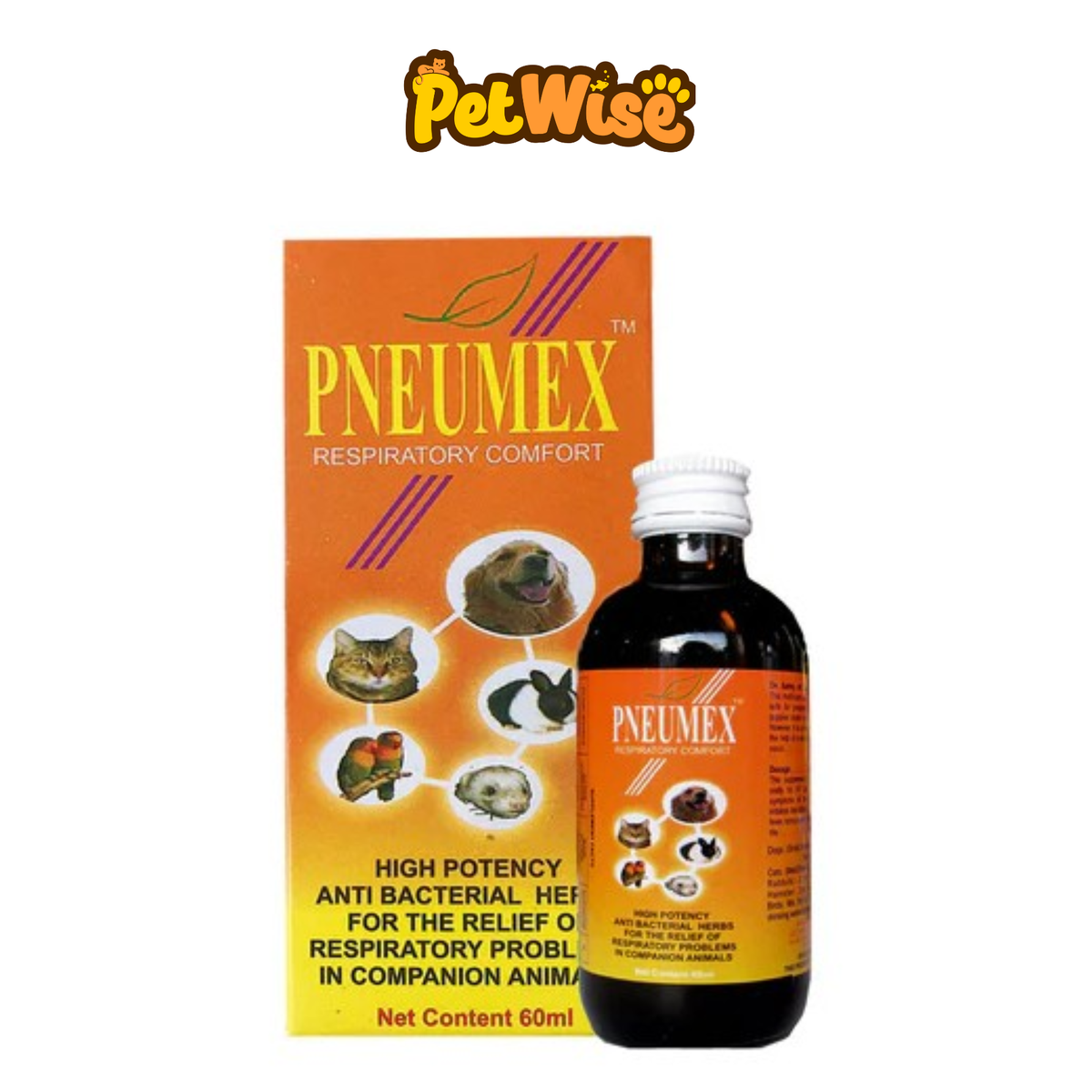 Pneumex