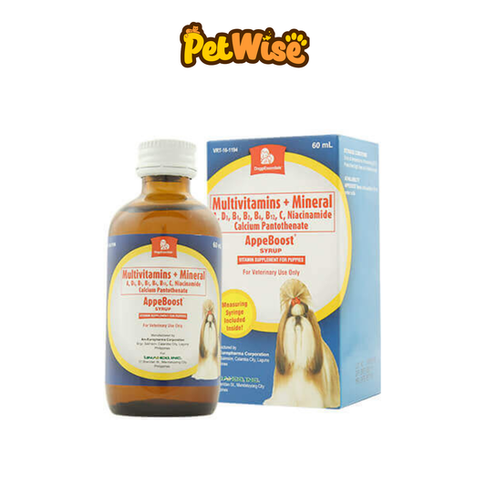 AppeBoost Syrup