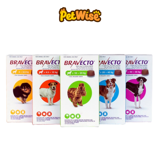 Bravecto Flea & Tick Treatment