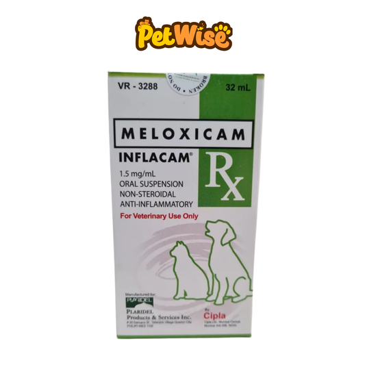 Inflacam Meloxicam