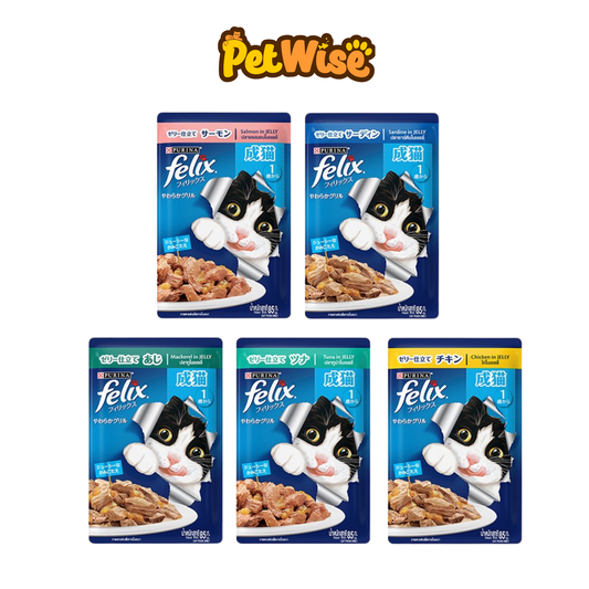 Felix Adult Wet Food Pouch