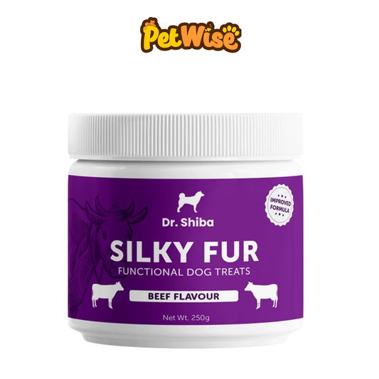 Dr. Shiba Silky Fur