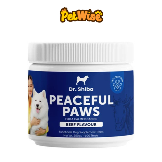 Dr. Shiba Peaceful Paws