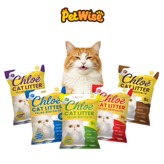 Chloe Feline Litter