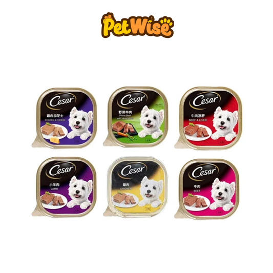 Cesar Dog Wet Food