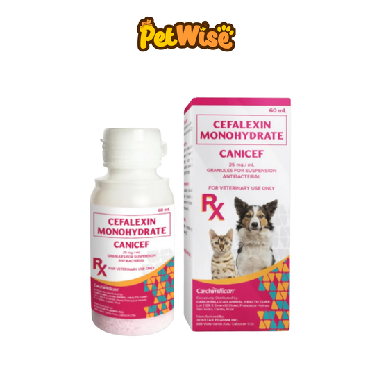 Cefalexin Canicef 60ml