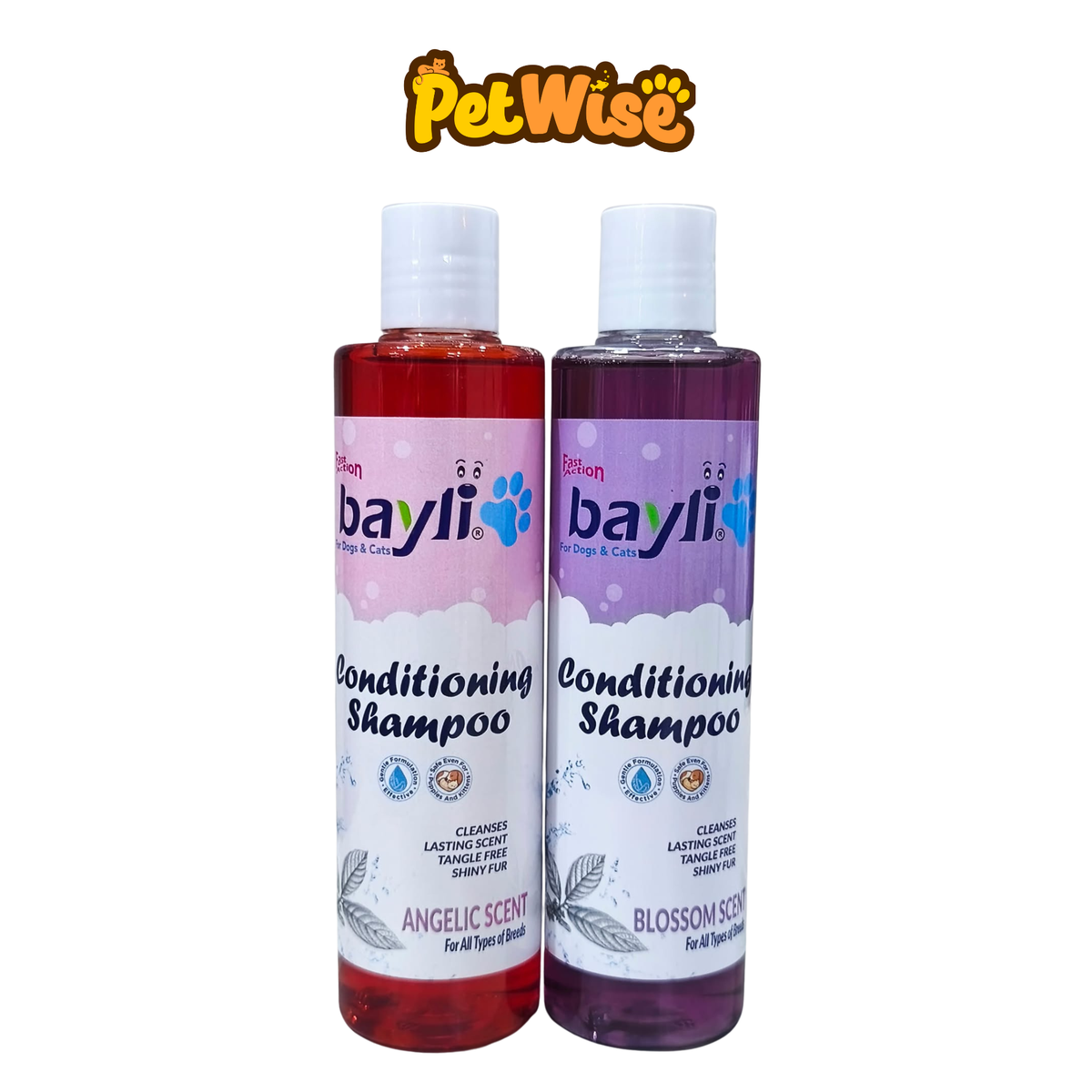 Bayli Conditioning Shampoo 300ml