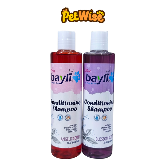 Bayli Conditioning Shampoo 300ml