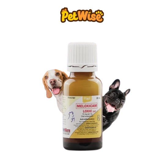 Papi Loxic Pet Meloxicam