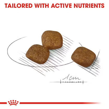 Royal Canin Mini Coat Care Dry Food For Dog