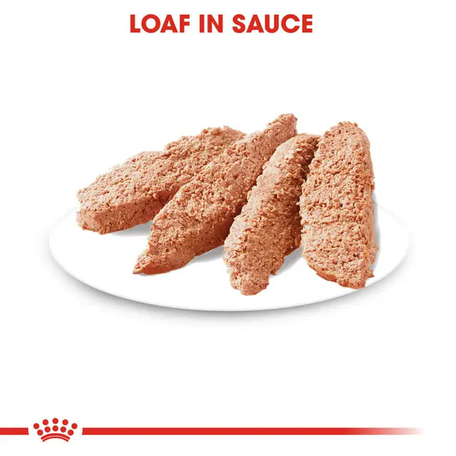 Royal Canin Dermacomfort Pouch Wet Food for Dogs