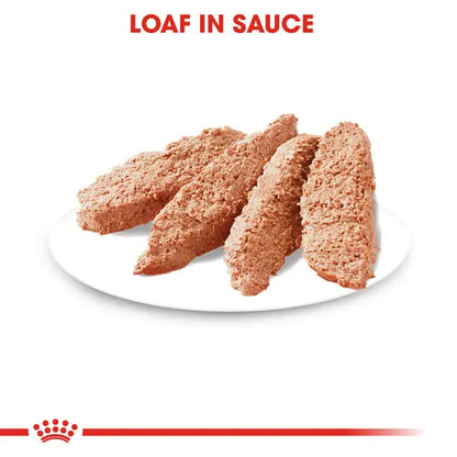 Royal Canin Dermacomfort Pouch Wet Food for Dogs
