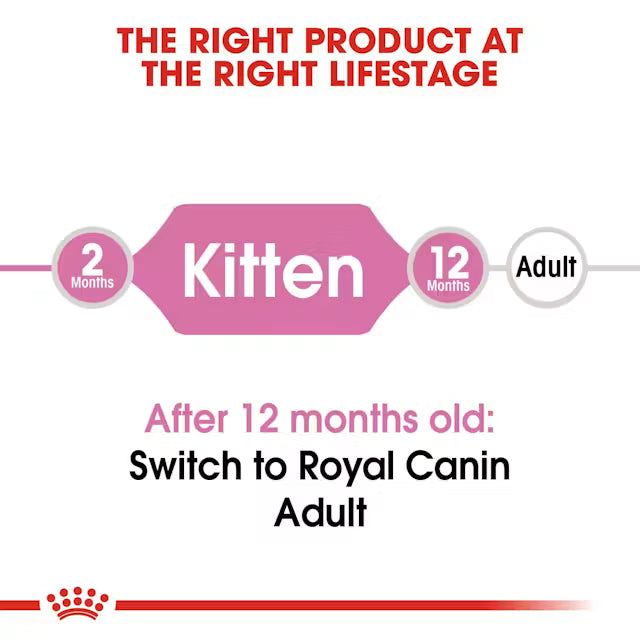 Royal Canin Kitten36 Dry Food for Kitten