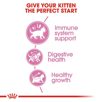 Royal Canin Kitten36 Dry Food for Kitten