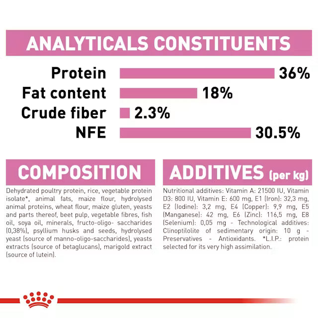 Royal Canin Kitten36 Dry Food for Kitten