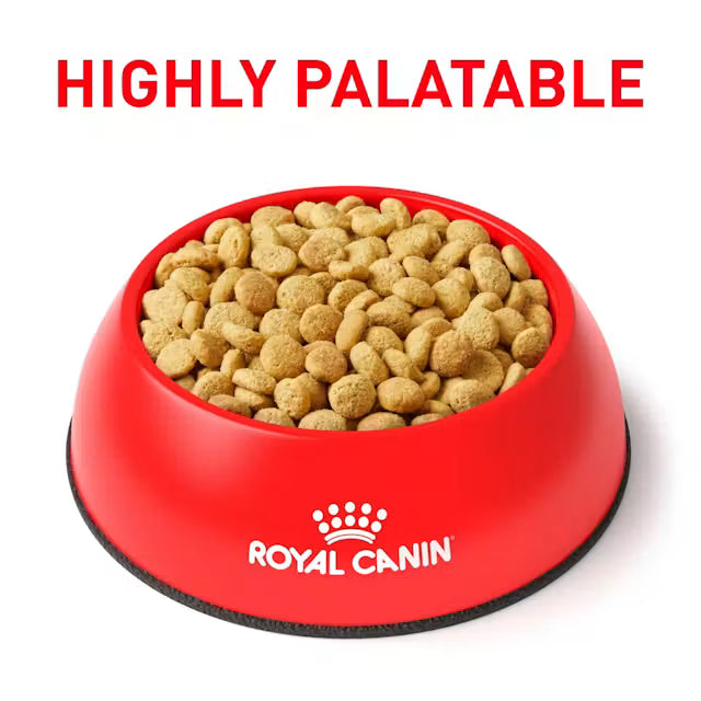 Royal Canin Satiety Weight Management for Cats